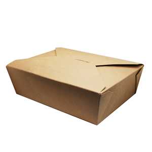 BioBox Take Away  1900 cc 21.5x15.5x6.5cm 200 pcs