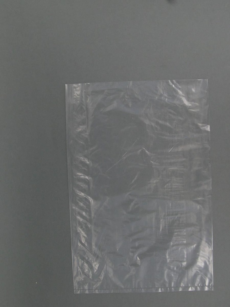 Sachets Plat LDPE 25µ 20x30cm 1000Pcs