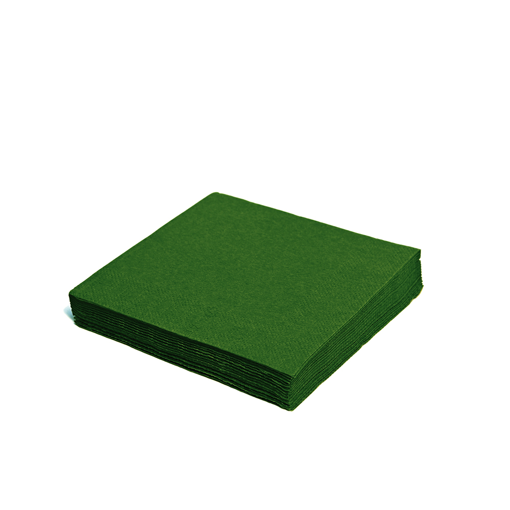 Serviettes 24x24cm Vert 2Plis 8x300Pcs